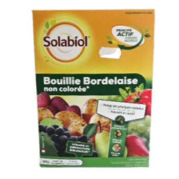 BOUILLIE BORDELAISE - NON COLOREE  400 GR 