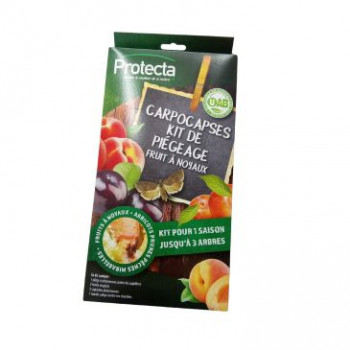 KIT DE PIEGAGE ENGLUE - CARPOCAPSE   