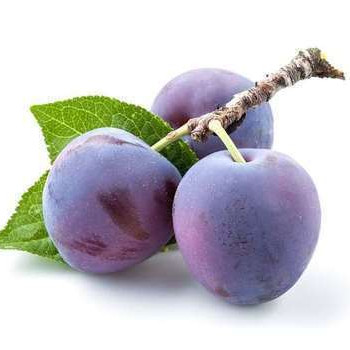 Prunus dom. 'Altesse Simple'  Racine nue 