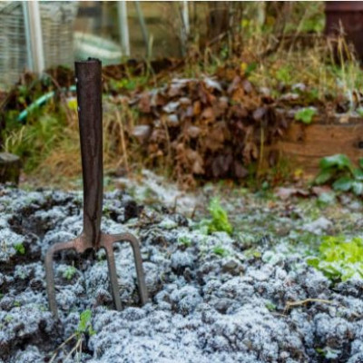 LE JARDINAGE EN HIVER : QUE FAIRE AU JARDIN ?
