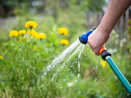 ASTUCES : LIMITER LES EFFETS DE LA SECHERESSE AU JARDIN